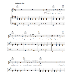 Lou Reed Smalltown Musik Noten - Piano, Vocal & Guitar Chords - 38517-0