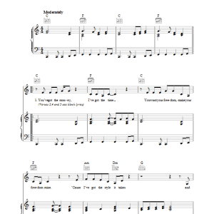 Lou Reed Style It Takes Musik Noten - Piano, Vocal & Guitar Chords - 38528-0