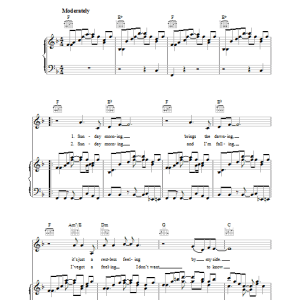 Lou Reed Sunday Morning Musik Noten - Piano, Vocal & Guitar Chords - 38774-0