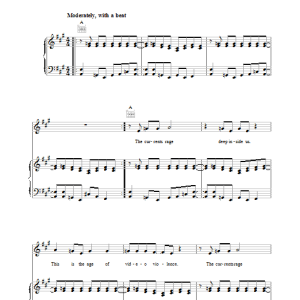 Lou Reed Video Violence Musik Noten - Piano, Vocal & Guitar Chords - 39179-0