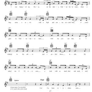 Lucky Starr I've Been Everywhere Musik Noten - Lead Sheet / Fake Book - 39415-0