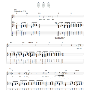 Lynyrd Skynyrd All I Can Do Is Write About It Musik Noten - Guitar Tab - 70694-0