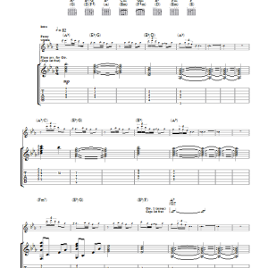 Mark Knopfler Border Reiver Musik Noten - Guitar Tab - 49002-0