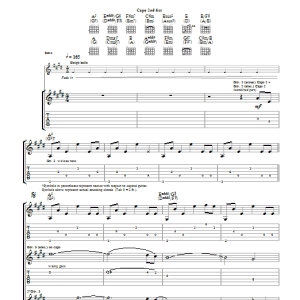 Mark Knopfler Remembrance Day Musik Noten - Guitar Tab - 49005-0