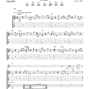 Mark Knopfler The Fish And The Bird Musik Noten - Guitar Tab - 42675-0