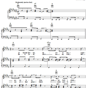 Martin Page In The House Of Stone And Light Musik Noten - Piano, Vocal & Guitar Chords - 16471-0