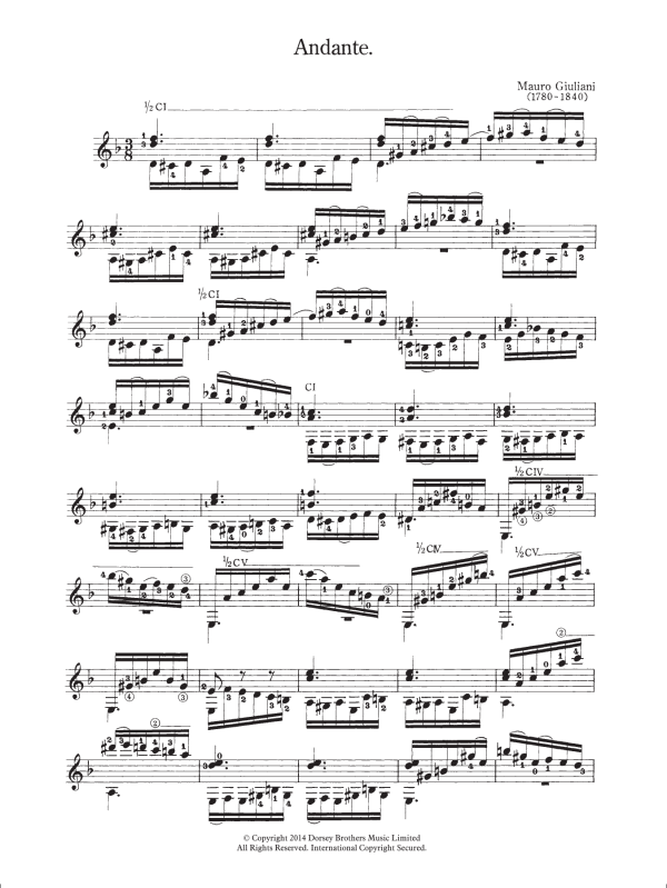 Mauro Giuliani Andante Musik Noten - Solo Guitar - 118803-0