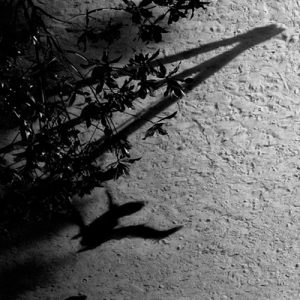 Max Richter Horizon Variations Musik Noten - Piano Solo - 32901-thumbnail