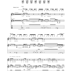 Megadeth Time: The Beginning Musik Noten - Guitar Tab - 165990-0