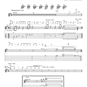 Metallica The Struggle Within Musik Noten - Guitar Tab - 77956-0