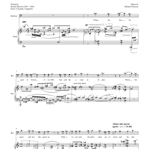 Michael Finnissy Outside Fort Tregantle (for baritone and piano) Musik Noten - Piano & Vocal - 46160-0
