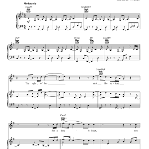 Michael McDonald Lost In The Parade Musik Noten - Piano, Vocal & Guitar Chords - 55136-0
