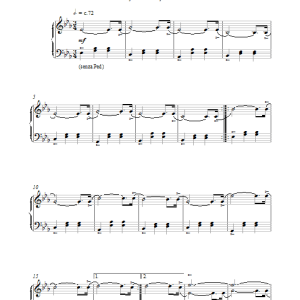 Michael Nyman Sheep 'N' Tides Musik Noten - Piano Solo - 17974-0
