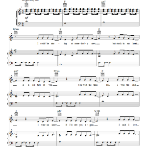 Mika Stardust Musik Noten - Piano, Vocal & Guitar Chords - 95720-0