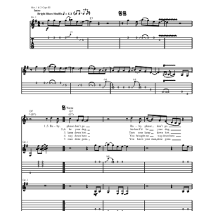 Muddy Waters Baby, Please Don't Go Musik Noten - Guitar Tab - 68837-0