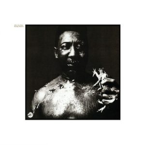 Muddy Waters Honey Bee Musik Noten - Guitar Tab - 171720-thumbnail