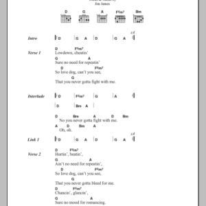 My Morning Jacket Lowdown Musik Noten - Guitar Chords/Lyrics - 100542-0