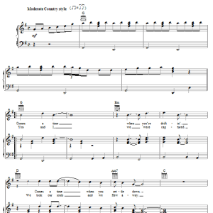 Neil Young Comes A Time Musik Noten - Guitar Tab - 93450-0