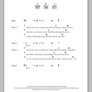 Neutral Milk Hotel The King Of Carrot Flowers Pt. One Musik Noten - Guitar Chords/Lyrics - 104621-0