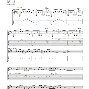 Newton Faulkner Sitar-y Thing Musik Noten - Guitar Tab - 40723-0