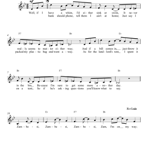 Nico Carstens Zambesi Musik Noten - Lead Sheet / Fake Book - 14886-0