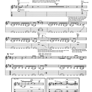 Nirvana Beeswax Musik Noten - Guitar Tab - 172731-0