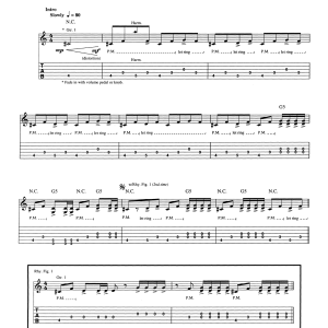 Nirvana Big Long Now Musik Noten - Guitar Tab - 172734-0
