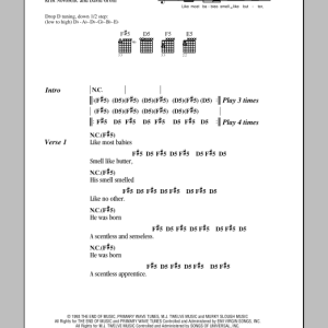 Nirvana Scentless Apprentice Musik Noten - Guitar Chords/Lyrics - 78397-0