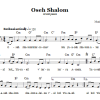 Nurit Hirsch Oseh Shalom (Grant Peace) Musik Noten - Lead Sheet / Fake Book - 66613-0
