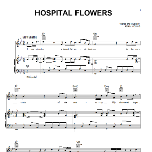 Owl City Hospital Flowers Musik Noten - Piano, Vocal & Guitar Chords - 86565-0