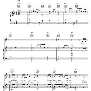Passenger Riding To New York Musik Noten - Piano, Vocal & Guitar Chords - 118843-0
