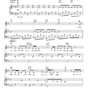 Passion Sing Along Musik Noten - Piano, Vocal & Guitar Chords - 88961-0