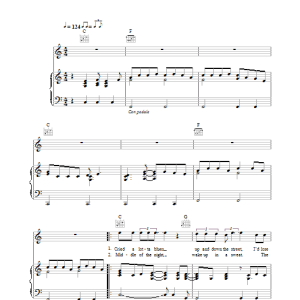 Paul Brady Oh What A World Musik Noten - Piano, Vocal & Guitar Chords - 24193-0