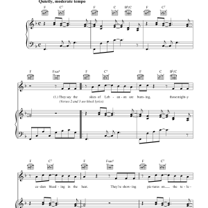 Paul Brady The Island Musik Noten - Piano, Vocal & Guitar Chords - 38293-0