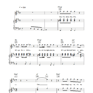 Paul McCartney Driving Rain Musik Noten - Piano, Vocal & Guitar Chords - 33971-0