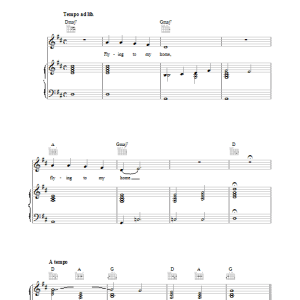 Paul McCartney Flying To My Home Musik Noten - Piano, Vocal & Guitar Chords - 34032-0