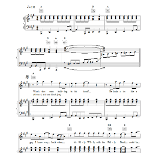 Paul McCartney Rock Show Musik Noten - Piano, Vocal & Guitar Chords - 18422-0