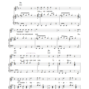 Paul McCartney Together Musik Noten - Piano, Vocal & Guitar Chords - 34037-0