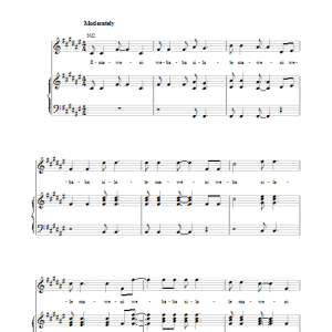 Paul Simon Homeless Musik Noten - Piano, Vocal & Guitar Chords - 35082-0
