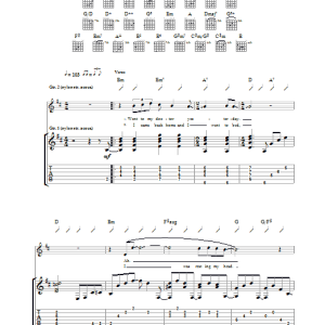 Paul Simon Run That Body Down Musik Noten - Guitar Tab - 29069-0