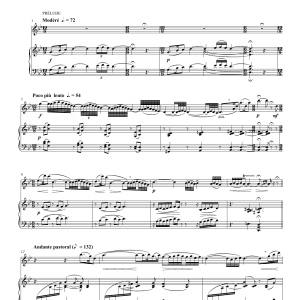 Paul Taffanel Andante Pastoral Musik Noten - Flute Solo - 115421-0