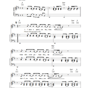 Paul Weller Country Musik Noten - Piano, Vocal & Guitar Chords - 15076-0