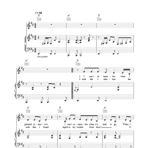 Peter Malick New York City Musik Noten - Piano, Vocal & Guitar Chords - 25488-0