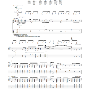 Pink Floyd Fearless Musik Noten - Guitar Chords/Lyrics - 161694-0