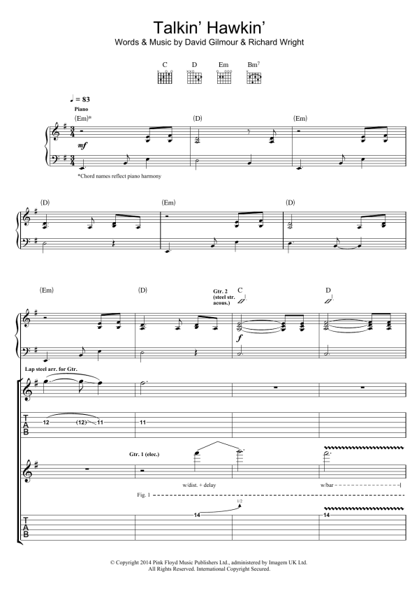 Pink Floyd Talkin' Hawkin' Musik Noten - Guitar Tab - 158417-0