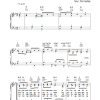 Poul Feldvoss Birkene Musik Noten - Piano, Vocal & Guitar Chords - 37083-0