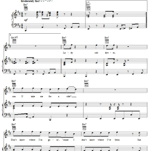 Prince Lady Cab Driver Musik Noten - Piano, Vocal & Guitar Chords - 59515-0