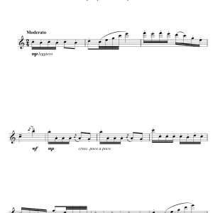 Pyotr Il'yich Tchaikovsky Dance Of The Reed Flutes (from The Nutcracker Suite) Musik Noten - Flute Solo - 104452-0