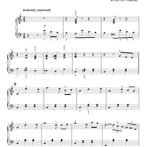 Pyotr Il'yich Tchaikovsky Piano Concerto No. 1 In B-Flat Minor, Op. 23, First Movement Excerpt Musik Noten - Easy Piano - 93996-0