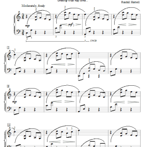 Randall Hartsell Sailing Summer Seas Musik Noten - Educational Piano - 72939-0